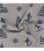 Lot de 2 torchons de cuisine toile 100% coton SKI