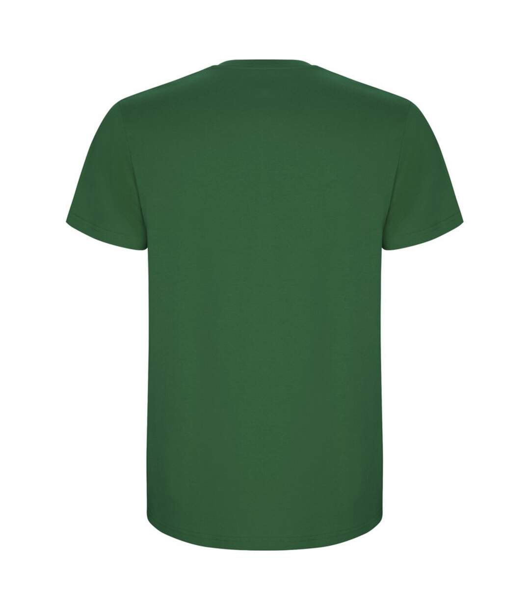 T-shirt stafford homme vert kelly Roly