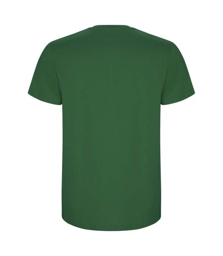 Roly Mens Stafford T-Shirt (Kelly Green) - UTPF4347