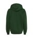 Sweat À Capuche Softstyle Adulte Vert Forêt Gildan-2