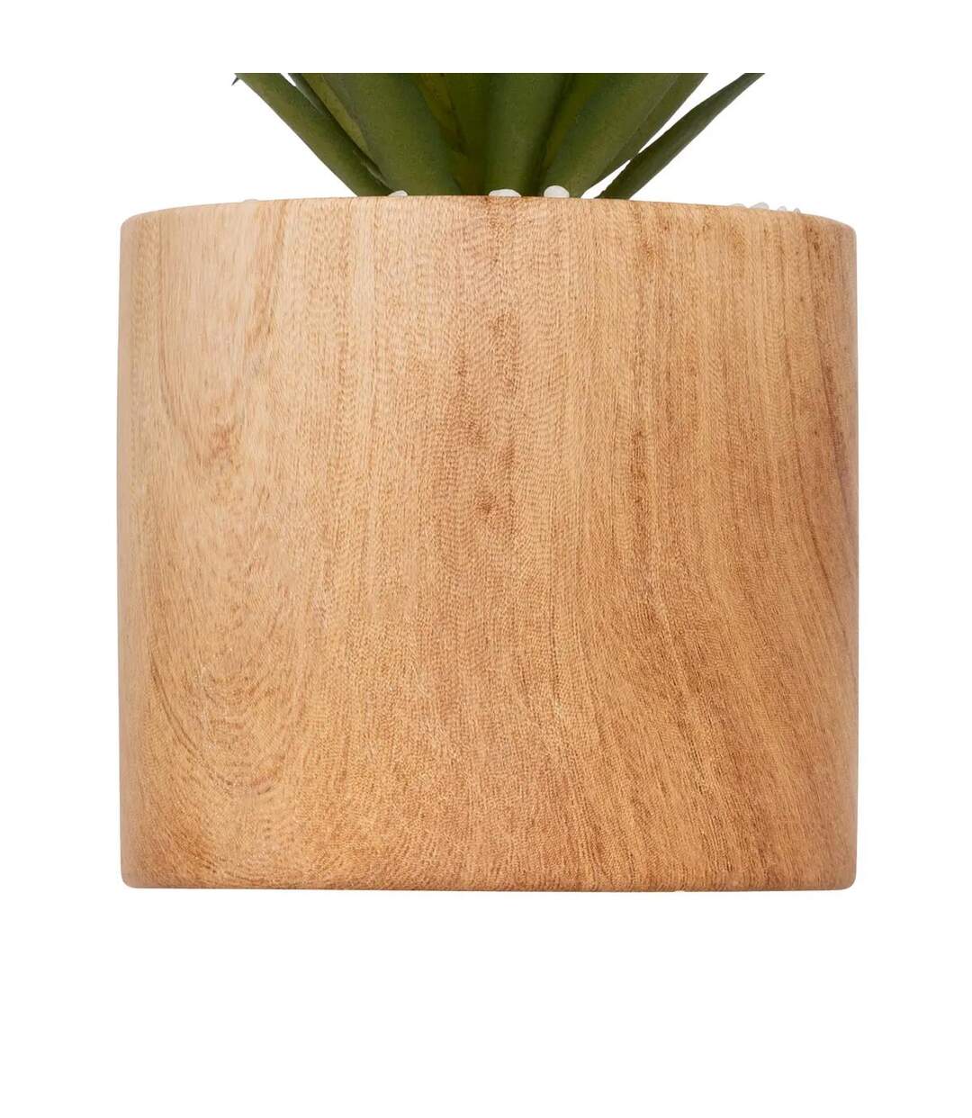 Plante Artificielle en Pot Sao 17cm Marron-3
