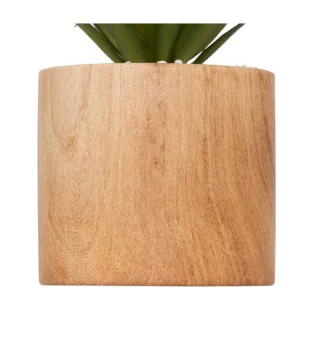Plante Artificielle en Pot Sao 17cm Marron