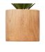 Plante Artificielle en Pot Sao 17cm Marron-3