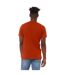 Canvas Mens Triblend Crew Neck Plain Short Sleeve T-Shirt (Brick Triblend) - UTBC2596-2