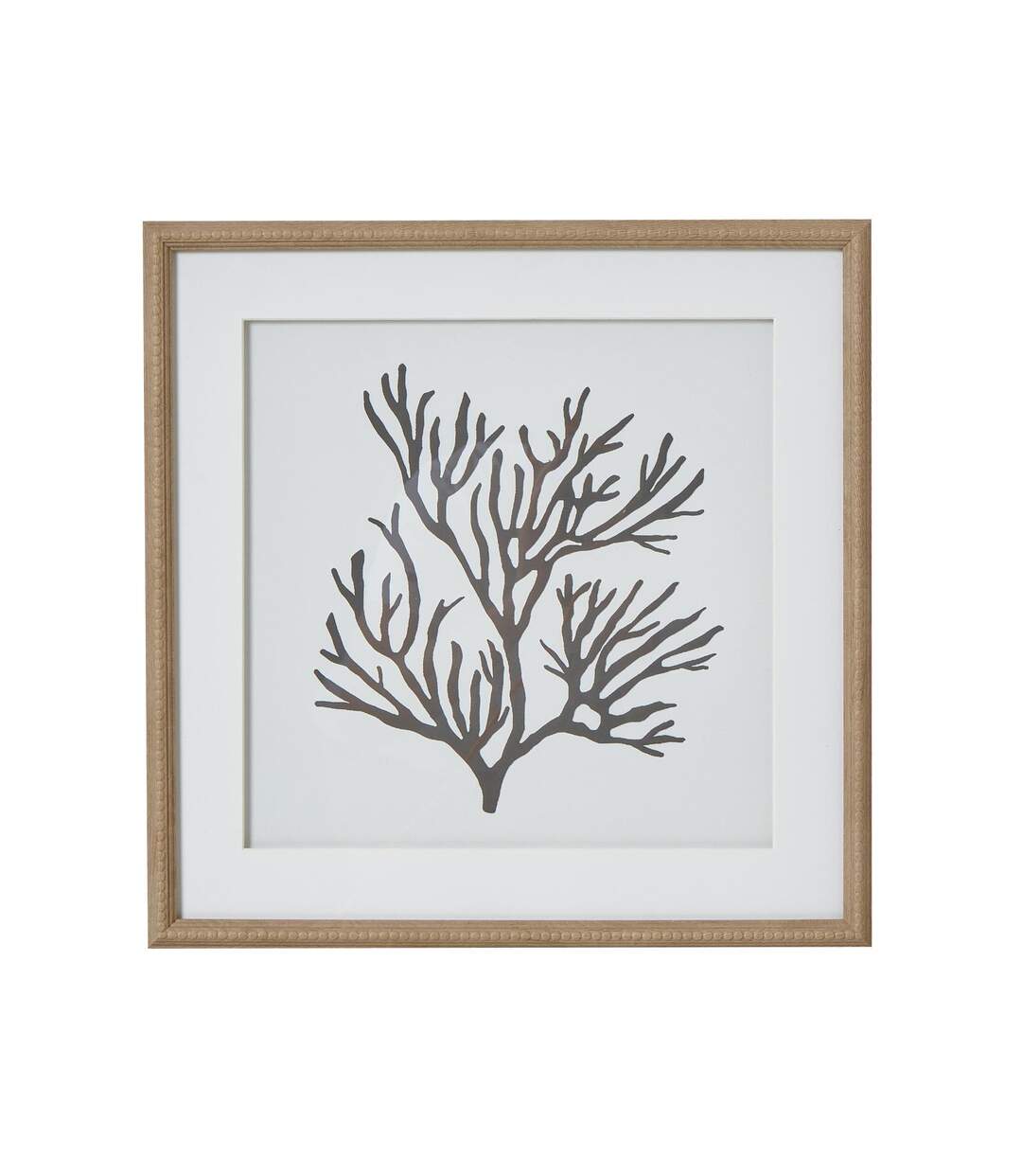Reef coral framed print one size brown/white/black Hill Interiors-1