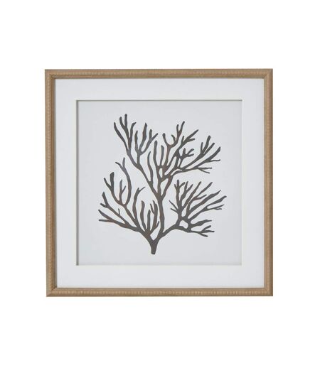 Reef coral framed print one size brown/white/black Hill Interiors