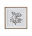 Reef coral framed print one size brown/white/black Hill Interiors-1