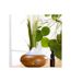 Paris Prix - Diffuseur De Parfum électrique goutte 210ml Naturel-3