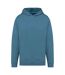 Unisex adult oversized hoodie adriatic blue Native Spirit-1