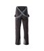 Iguana Mens Lorne II Ski Trousers (Black) - UTIG2029