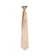 Premier Colours Mens Satin Clip Tie (Khaki) (One size) - UTRW4407