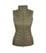Womens/ladies Shires Gilet Green Jack Pyke-1