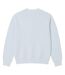 Sweat Motif/style Imprimé Homme Bleu Lacoste-2