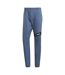 Pantalon De Survêtement Randonnée Terrex Femme Bleu Adidas-1