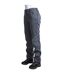 Trespass Womens/Ladies Sola Softshell Outdoor Pants (Carbon) - UTTP3431