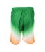 Boston Short de basket Vert/Orange Homme Sport Zone - L