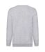 Fruit of the Loom Sweat-shirt en chiné pour hommes (Gris chiné) - UTRW8309-2