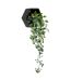 Plante Artificielle à Suspendre Ayame 45cm Noir-1