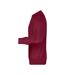 Sweat Homme Bordeaux James And Nicholson-4