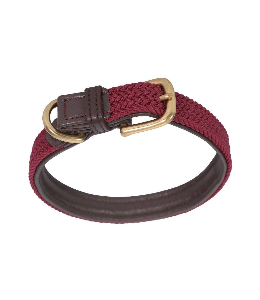 Collier pour chiens 2xl marron / pourpre Weatherbeeta-2