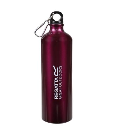 Gourde 1 L Violet Fuchsia Regatta