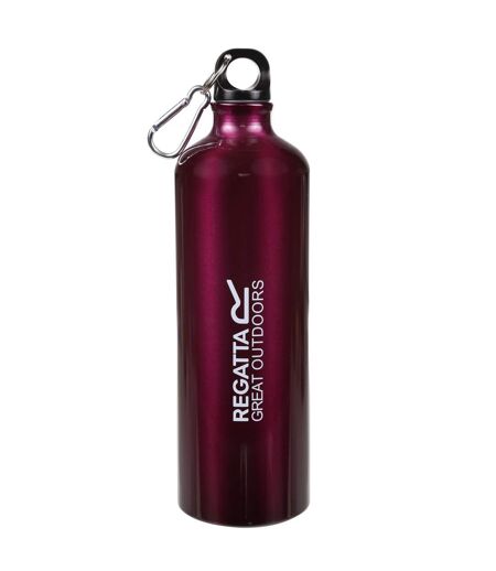 Gourde 1 L Violet Fuchsia Regatta