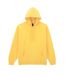Unisex Adult Softstyle Fleece Midweight Hoodie Daisy Gildan-1