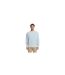 Mens Auntentic Jumper Sky Blue Levis-1