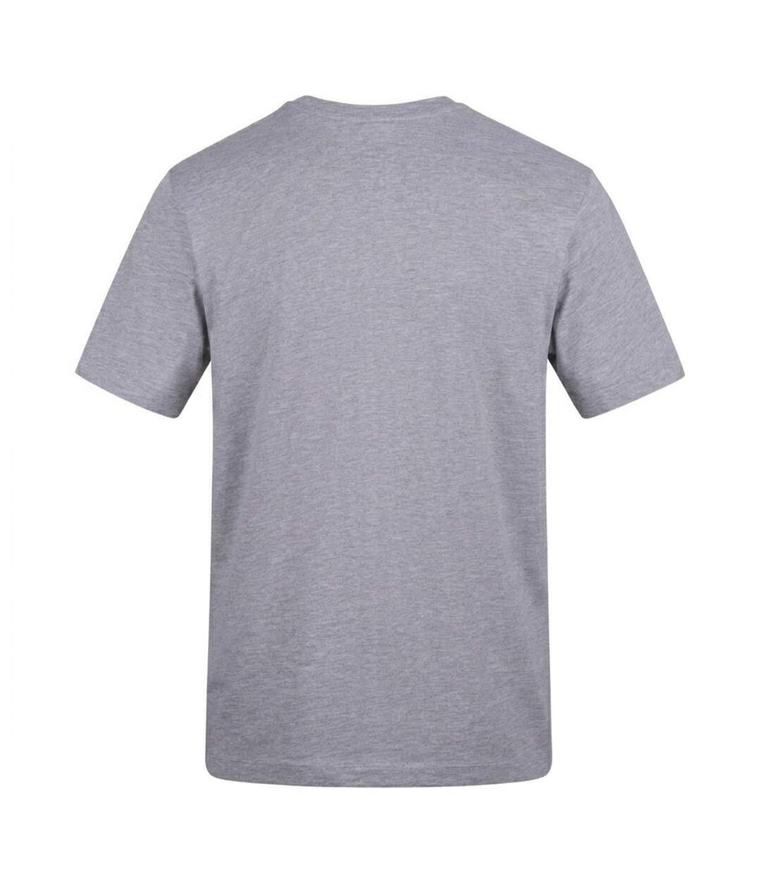 T-shirt Game Of Throw Ins Adulte Gris AWD-2