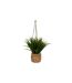 Herbe Artificielle Suspendue Moda 27cm Naturel-1
