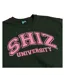 Sweat Shiz University Adulte Vert Wicked-3