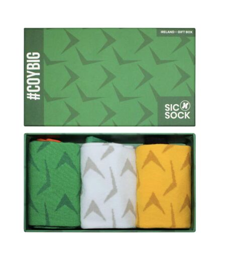 Chaussettes homme vert / blanc / jaune Ireland