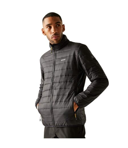 Veste 3-en-1 Wentwood Homme Noir Regatta