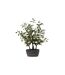 Arbre Artificiel en Pot Olivier 60cm Vert-1