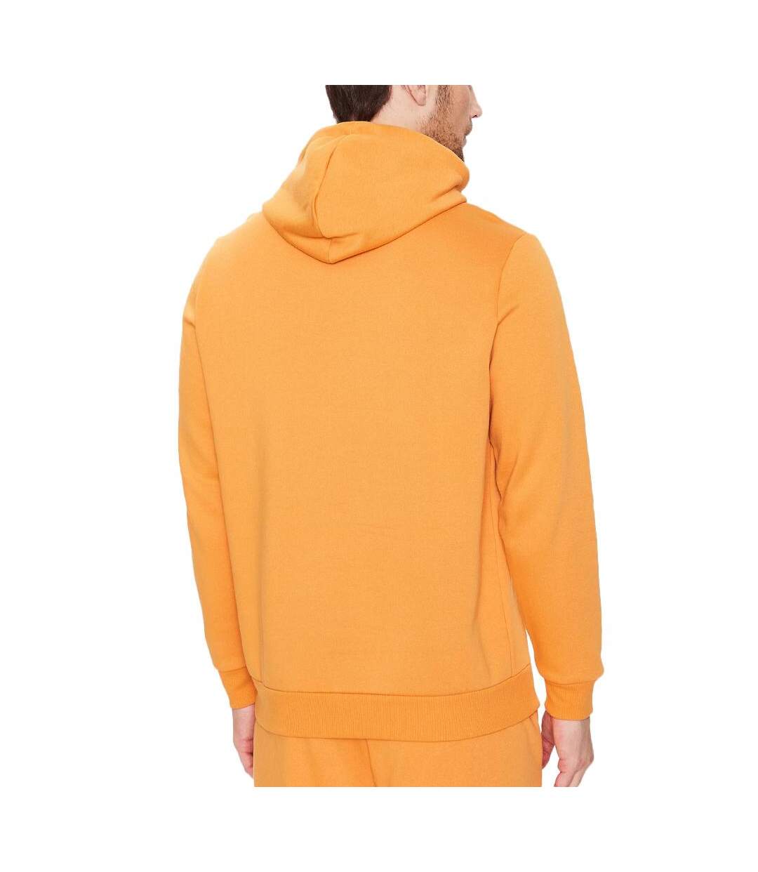 Sweat à Capuche Orange Puma Smlogo - M-2