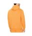 Sweat à Capuche Orange Puma Smlogo - M