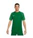 Maillot Academy Homme Vert Nike-1