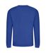 Sweat adulte bleu roi vif Awdis-2