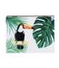 Boîte de rangement tropicale Tucan - L. 20 x H. 8 cm - Vert