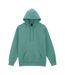 Sweat À Capuche Softstyle Homme Aquatique Gildan-1