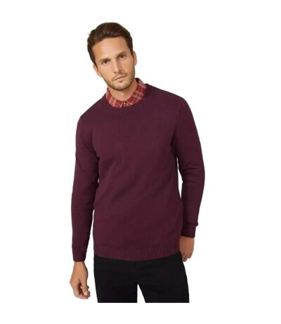 Maine - Pull PREMIUM - Homme (Bordeaux) - UTDH1848