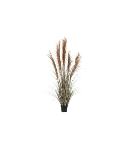 Herbe de Pampas Artificielle en Pot 5 Têtes 147cm Vert & Orange