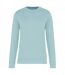 Kariban Unisex Adult Eco Friendly Crew Neck Sweatshirt (Ice Mint) - UTPC5755
