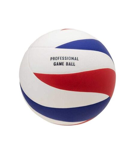 Ballon De Volley-ball Motif/style Logo Seagulls Taille 5 Rouge Bleu Huari