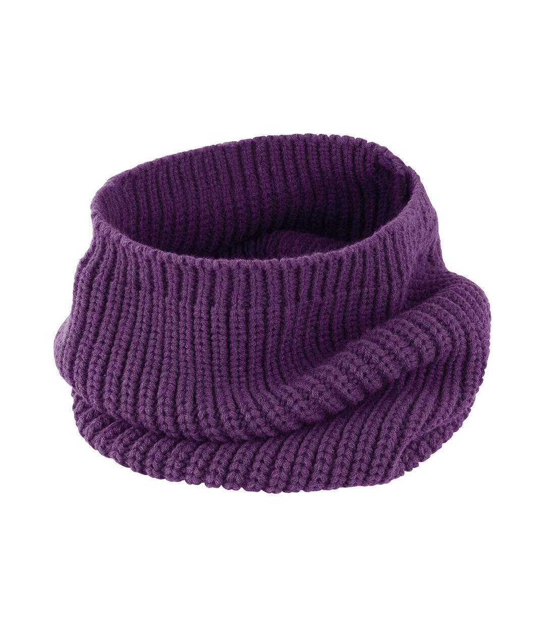 Snood whistler taille unique violet Result Winter Essentials