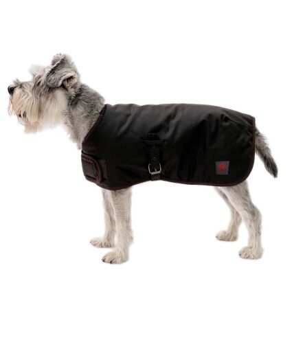Waxed dog coat 46cm brown Firefoot
