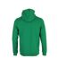 Sweat vert homme le coq sportif hoody-2