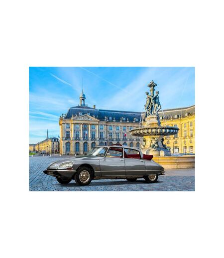 Visite de Bordeaux et des vignobles bordelais en DS présidentielle avec chauffeur privé (3h) - SMARTBOX - Coffret Cadeau Multi-thèmes