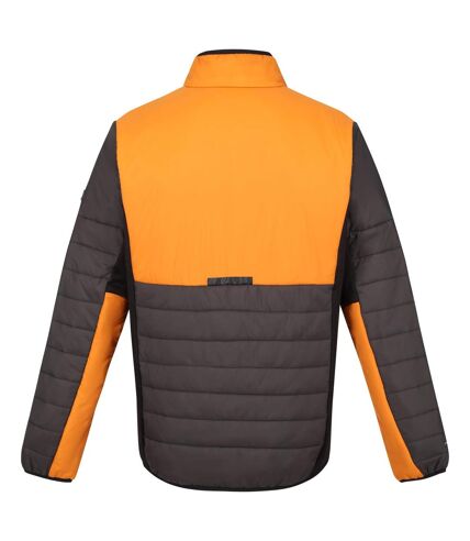 Regatta Mens Halton VII Contrast Panel Baffled Padded Jacket (Ash/Orange Pepper) - UTRG9484