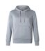 Womens/ladies Club Lightweight Hoodie Classic Marl Canterbury-2